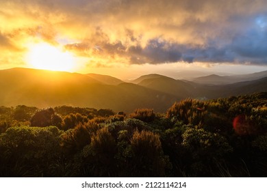 Paparoa National Park, New Zealand - December 25 2020: Paparoa Track Sunrise From Ces Clark Hut - Shutterstock ID 2122114214