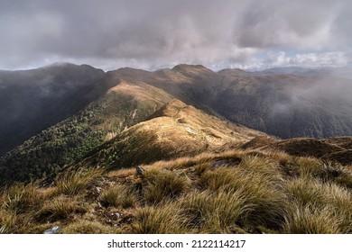 Paparoa National Park, New Zealand - December 25 2020: Paparoa Track to Moonlight Tops Hut from Croesus Knob - Shutterstock ID 2122114217
