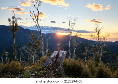 Paparoa National Park, New Zealand - December 26 2020: Paparoa Track Sunset Sun Star From Pororari Hut - Shutterstock ID 2125294433