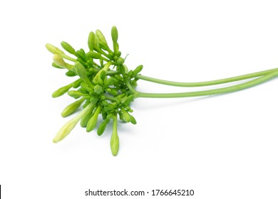 211 Papaya male flowers Images, Stock Photos & Vectors | Shutterstock