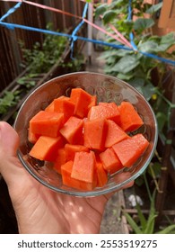 Papaya for our healthy morning