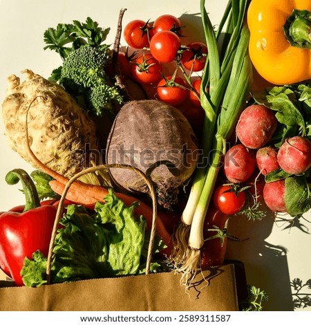 A paper bag filled with fresh vegetables, including beetroot, cherry tomatoes, radishes, green onions, carrots, celery root, broccoli, lettuce, and bell peppers, captured in natural sunlight.