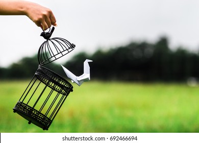 Paper bird flying from open birdcage and hand.