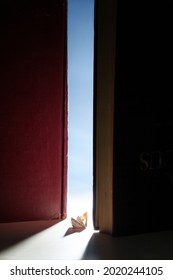 Paper Boat Across The Book Door Toward The Light.