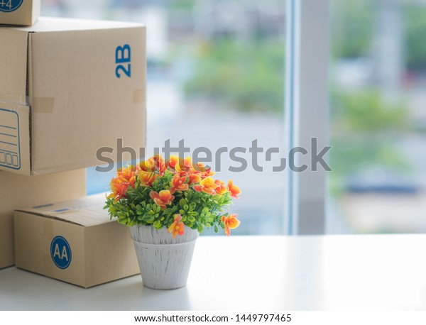 Paper Boxes Flower Vase On Table Stock Photo Edit Now 1449797465