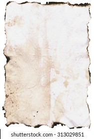 Paper with Burnt Edges Background