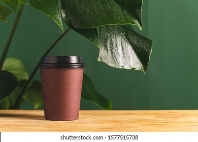 Paper Cup With Tea Coffee Drink On A Wooden Table Against The Background Plant And A Green Wall. Zero West Concept.