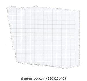 paper has grid lines torn into pieces on transparent background png file