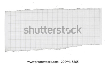 paper has grid lines torn into pieces isolated on white background 
