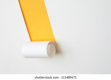 paper label