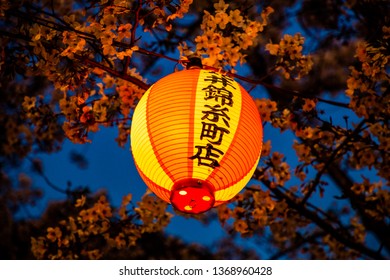 Paper lantern illuminating cherry blossoms; Translation: Kinshicho (a Tokyo neighborhood)