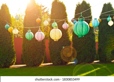 Paper lanterns hang on a string. Many lanterns on a background of green thuja. - Powered by Shutterstock