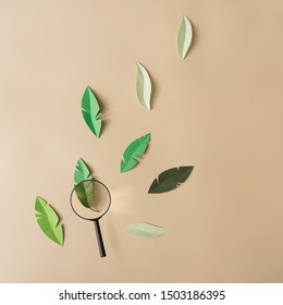 Paper Leaves With Magnifying Glass. Minimal Nature Concept. Flat Lay.