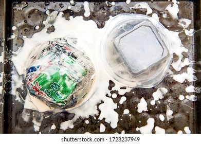 Paper Mache Molds Before Drying Process