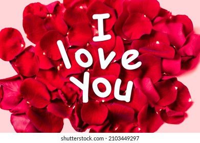 Paper message on real red rose petals 'I love you