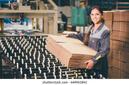 Paper Mill Factory Worker