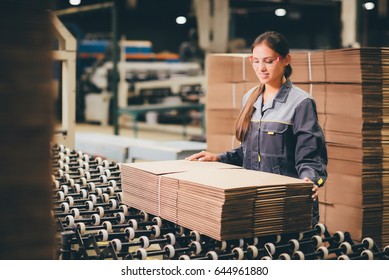 Paper Mill Factory Worker