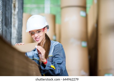 Paper Mill Factory Worker