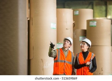 Paper Mill Factory Workers