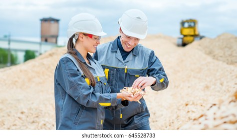 Paper Mill Factory Workers Inspecting Wooden Raw Material