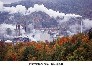 Paper Mill In A Forest