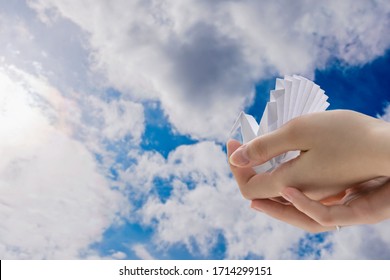 Paper pigeon origami in the hands of a girl against the blue sky. The concept of peace and security. Copy space. World Peace Day. - Powered by Shutterstock