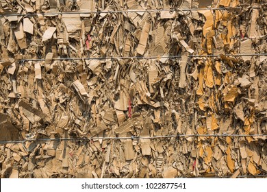 Paper Pile And Piece Of Cardboard At The Recycle Industry Paper Plant