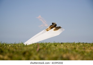 Paper Plane Crash