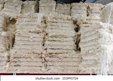 Paper And Pulp Mill - Detail Of Cellulose. It Mainly Obtained From Wood Pulp And Cotton. It Is Mainly Used To Produce Cardboard And Paper.