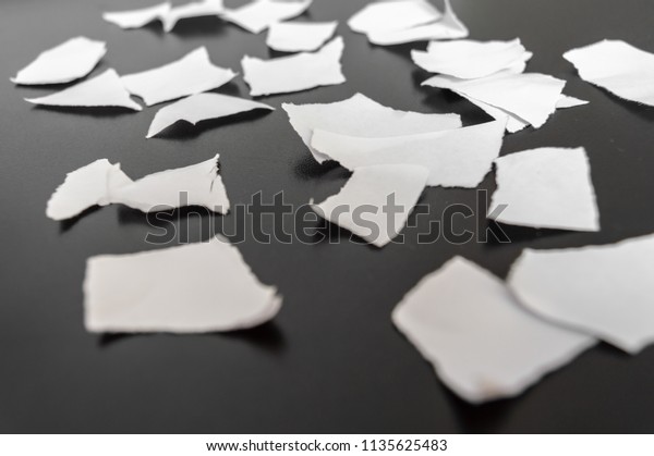 Paper ripped in many\
pieces