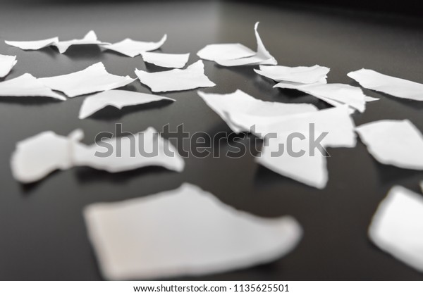 Paper ripped in many\
pieces