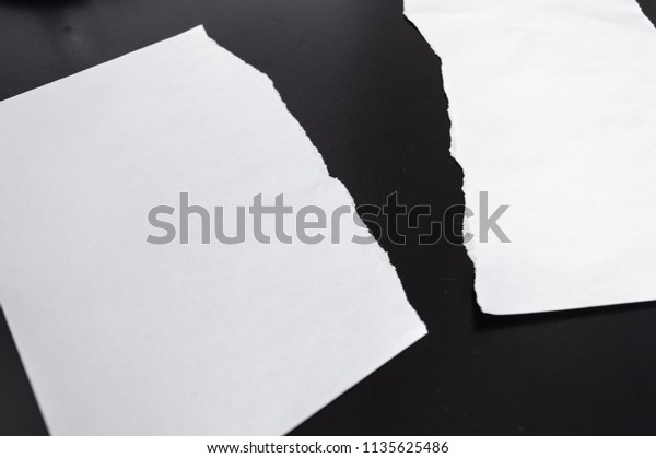 Paper ripped in two\
pieces