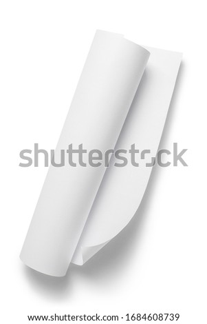 Paper roll, isolated on white background