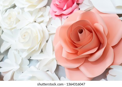 Paper rose background Soft