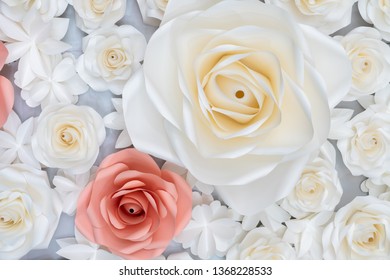 Paper rose background Soft