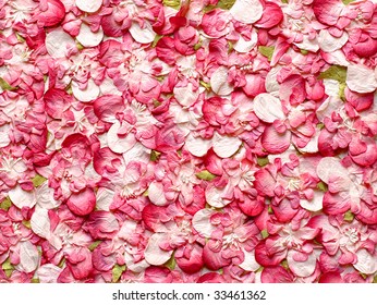 Paper Rose Petals