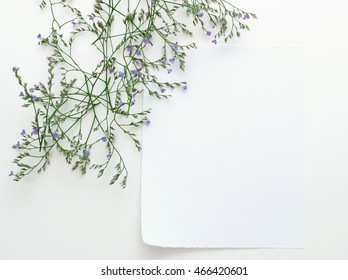 paper sheet frame for notes with herb branches isolated on white background - Shutterstock ID 466420601