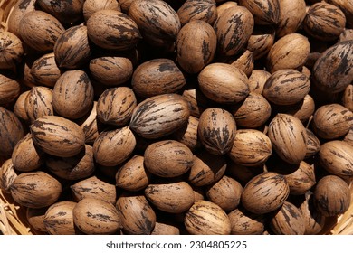 Paper shell Pecans close up. Schley Pecans