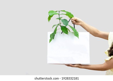 Paper Shopping Bag With Small Green Plant In It Presented On White Background. 