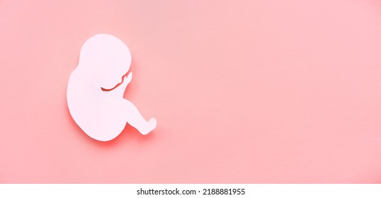 Paper silhouette of a human embryo on a lilac background. The concept of reproduction. Banner, flat lay, place for text.