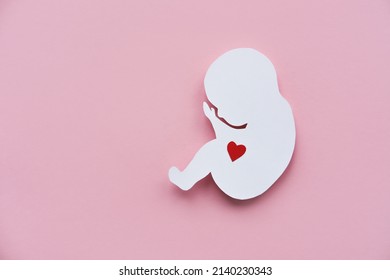 Paper silhouette of a human embryo with a red heart on a pink background. Flat lay, place for text.