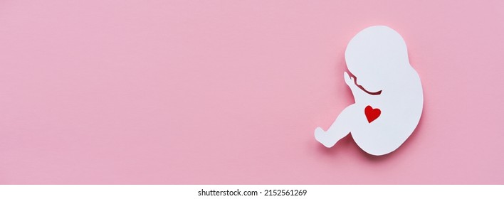 Paper silhouette of a human embryo with a red heart on a pink background. Flat lay,Banner, place for text.