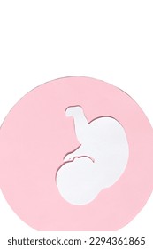 Paper silhouette of a human embryo with a red heart on a white background. Vertical image, flat lay, copy space.