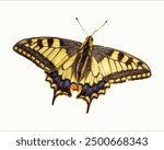 The Papilio Machine, the Old World Swallowtail, is a butterfly of the Papilionidae family. The butterfly is also known as the yellow swallowtail. It is the type species of the genus Papilio.