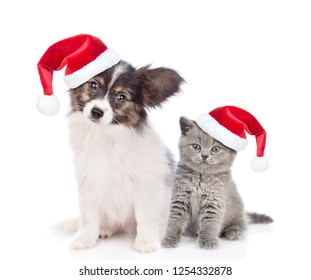 Christmas Rabbit Santa Claus Hat Stock Photo 521358181 | Shutterstock