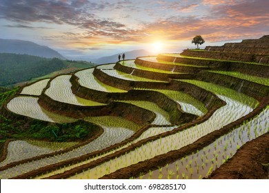 Pa-pong-peang Rice Terrace North Thailand