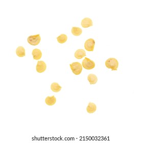 Paprika Seeds Isolated On White Background. Macro