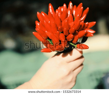 Paprika in the woman's hand on the green background, market atmosphere, natural sunlight