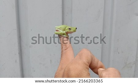 Similar – Image, Stock Photo the Prince Colour photo