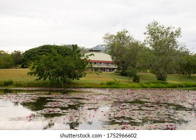 Papua New Guinea, Port Moresby, 21.10.2018 Gardens And Parks At 9 Mile State University Campus. Beautiful Lake With Water Lilies. Students And Teachers Live In A Beautiful Recreation Area.